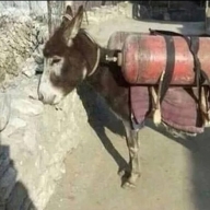 Нестеров Дима