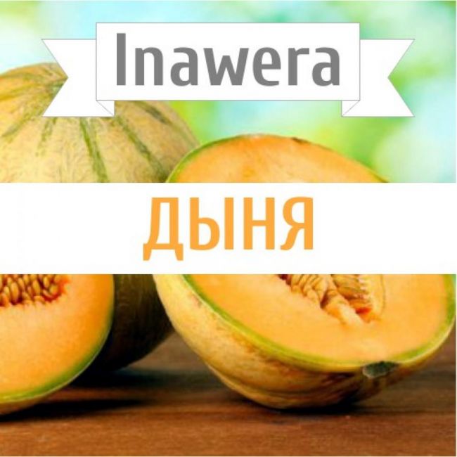 Inawera Дыня Inawera Дыня