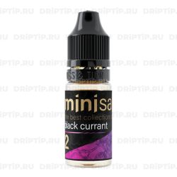 Mini Salt - Black Currant