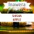 Inawera Shisha - Яблоко