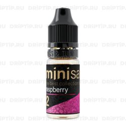 Mini Salt - Raspberry