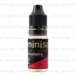 Mini Salt - Strawberry