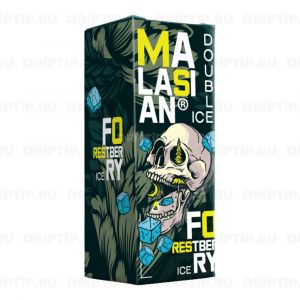 Blast Malaysian Double Ice Salt - Ice Forest Berry