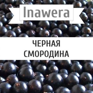 Inawera Черная смородина