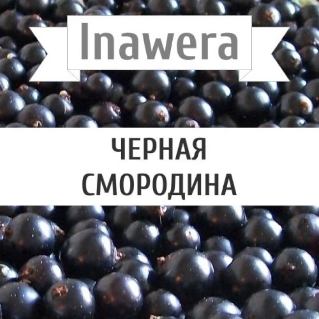 Inawera Черная смородина
