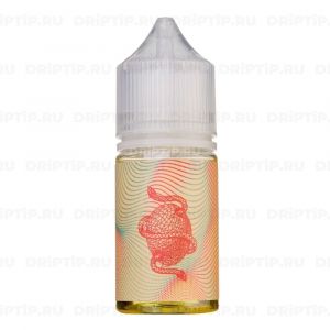 Cyberfog Salt - Molodost