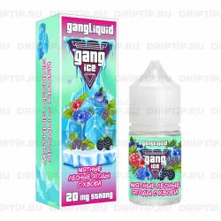Gang Ice Salt - Мятные Лесные Ягоды С Хвоей