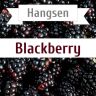 Hangsen Blackberry 10 мл