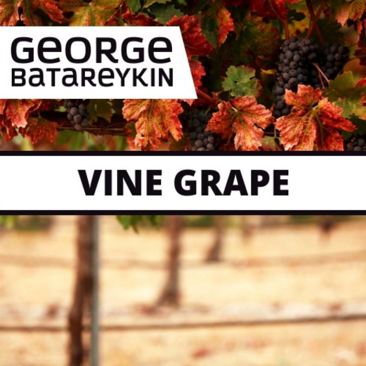 George Batareykin VINE GRAPE 10мл