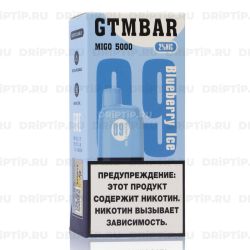 GTM BAR Migo 5000 - Blueberry Ice
