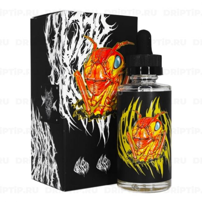 Dr Grimes - Circle Pit 60ml Dr Grimes - Circle Pit 60ml