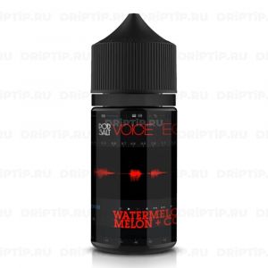 Voice Pod Salt - Echo