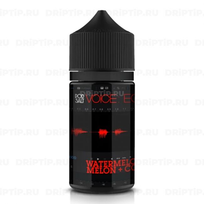 Voice Pod Salt - Echo