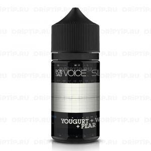 Voice Pod Salt - Silent