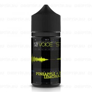 Voice Pod Salt - Stereo