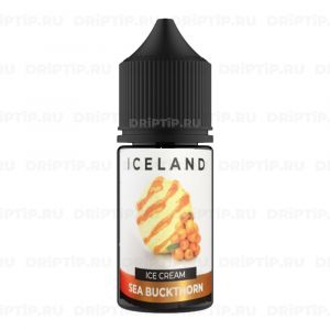 Sea buckthorn - Iceland Ice Cream Salt Sea buckthorn - Iceland Ice Cream Salt