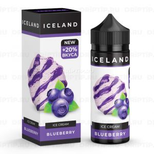 Iceland Ice Cream - Blueberry