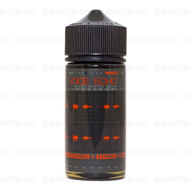 Voice - Echo Voice - Echo