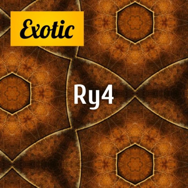 Exotic RY4 10мл
