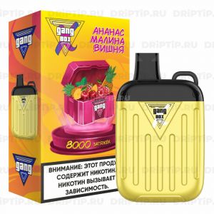 Gang Xbox 8000 - Ананас Малина Вишня