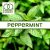 Ароматизатор TPA Peppermint Ароматизатор TPA Peppermint