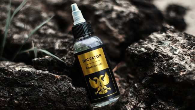 DICTATOR Fresh Currant 3mg, 65ml