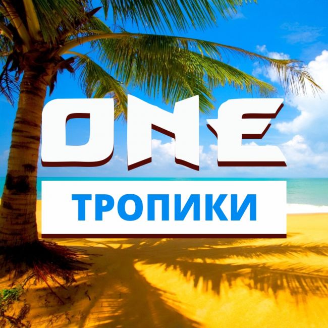 Ароматизатор ONE Тропики