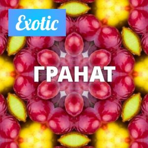 Exotic ГРАНАТ 10мл